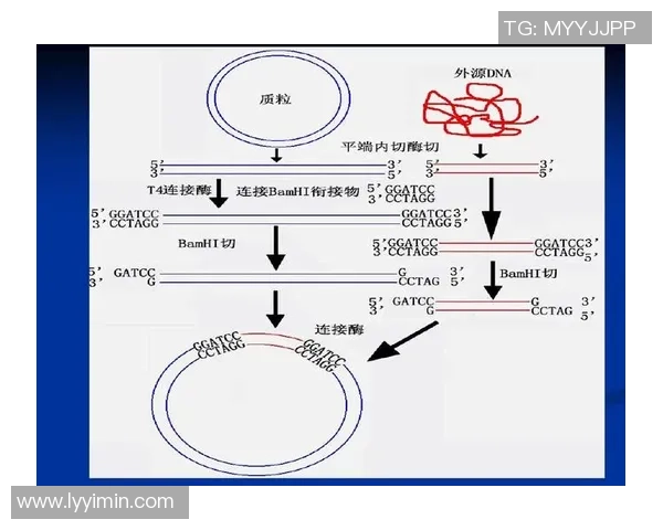 上海网球队防守策略分析及其对比赛结果的影响探讨