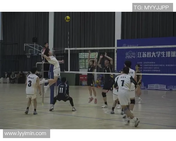 成都排球队在大师赛中的团队协作表现分析与启示