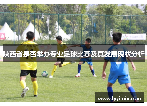 陕西省是否举办专业足球比赛及其发展现状分析